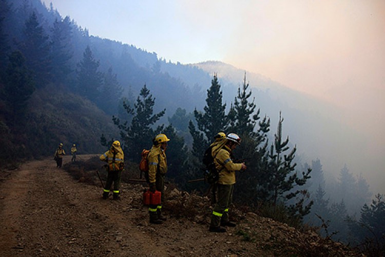 Condenan a seis meses de prisión a seis bomberos del Infoca por el gran incendio de Pujerra y Júzcar de 2012