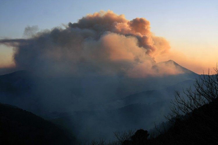 Un incendio forestal afecta a un paraje de Pujerra