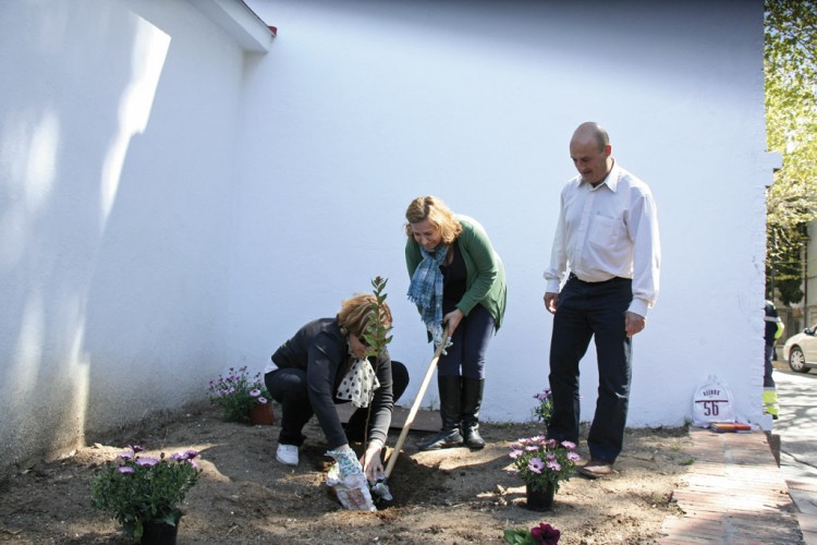 Los vecinos podrán cuidar los jardines de las barriadas