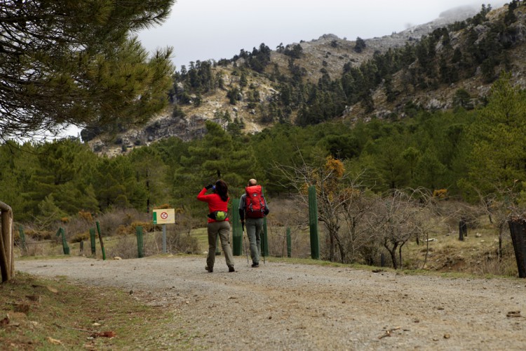 Presentan cien alegaciones y sugerencias al proyecto de declaración de la Sierra de las Nieves como Parque Nacional
