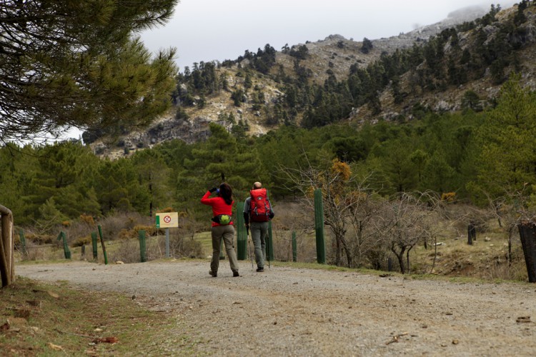 El Consejo de Gobierno de la Junta aprueba una nueva planificación y gestión de la Sierra de las Nieves