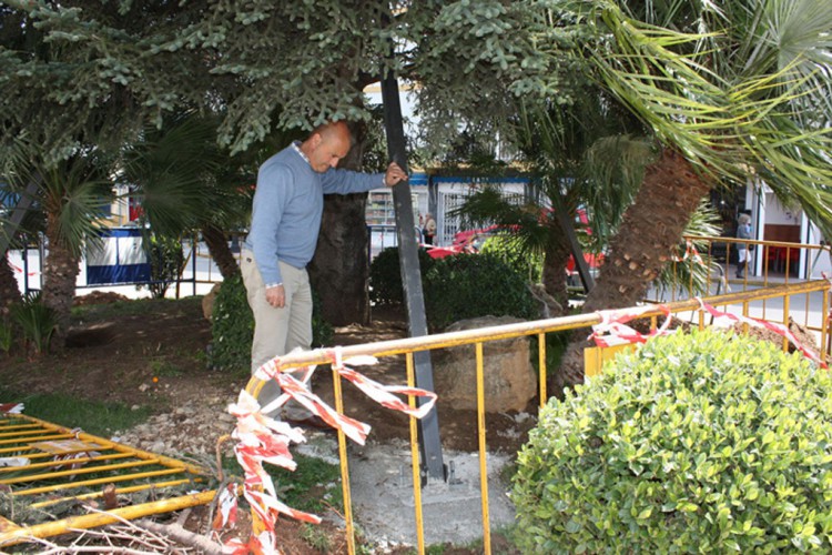 Operación- recuperación del pinsapo más famoso de Ronda