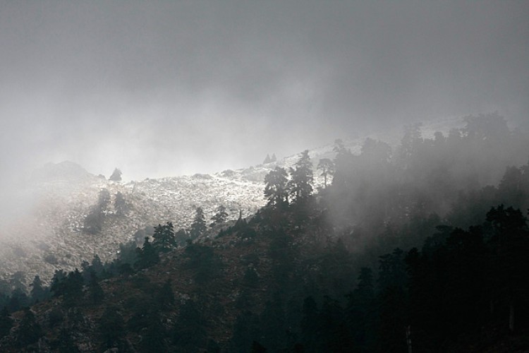 La Guardia Civil rescata a un senderista perdido en la Sierra de las Nieves