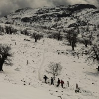 Paisaje nevado en la cumbre de Sierra de las Nieves.