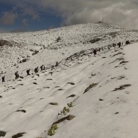 Decenas de personas subieron a disfrutar de la nieve.