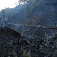 El fuego afectó a una superficie de arbolado y matorral.