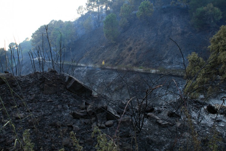 Estabilizado un incendio en Jubrique tras calcinar 21 hectáreas