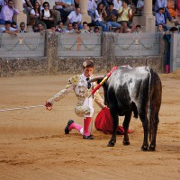 Sergio Páez.