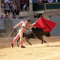 Lama de Góngora no tuvo suerte con su novillo.