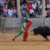 Luis Rincón durante la faena.