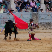 Vicente Soler sorprendió gratamente a los aficionados.