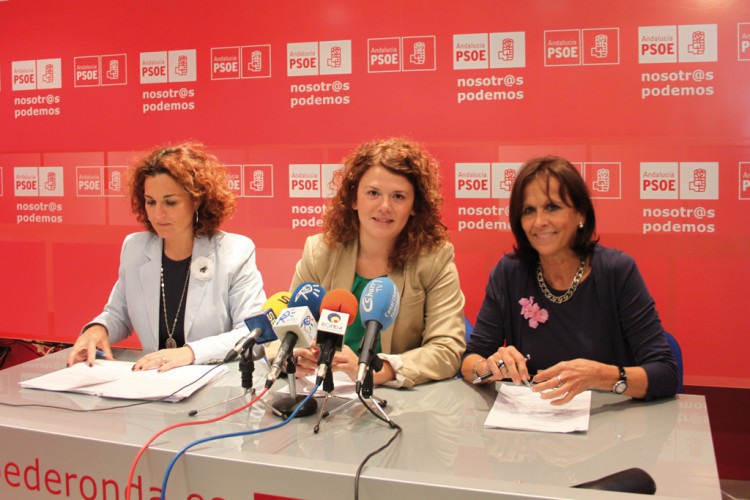 El PSOE denuncia que los los presupuestos del PP «invierten solo un euro por rondeño»