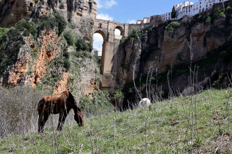 Turismo Ronda diseña una campaña para relanzar este sector una vez que pase la crisis sanitaria