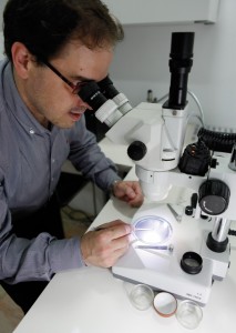 El microscopio es un elemento fundamental para este trabajo.