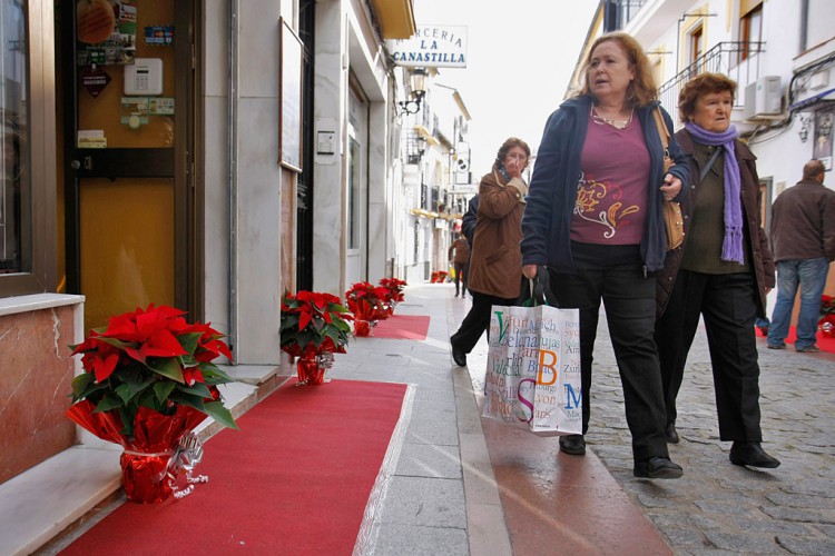 Comerciantes de la calle Monterejas logran que el Ayuntamiento instale luces de Navidad