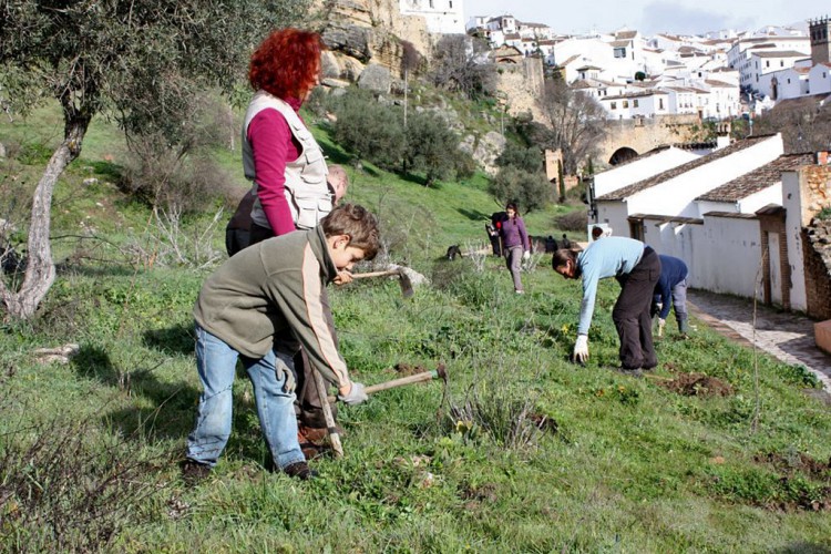 La Diputación convoca los premios ‘Málaga Viva’ para reconocer buenas prácticas en la lucha contra el cambio climático