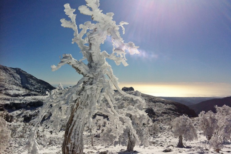 Un manto blanco cubre la Sierra de las Nieves y Sierra Bermeja