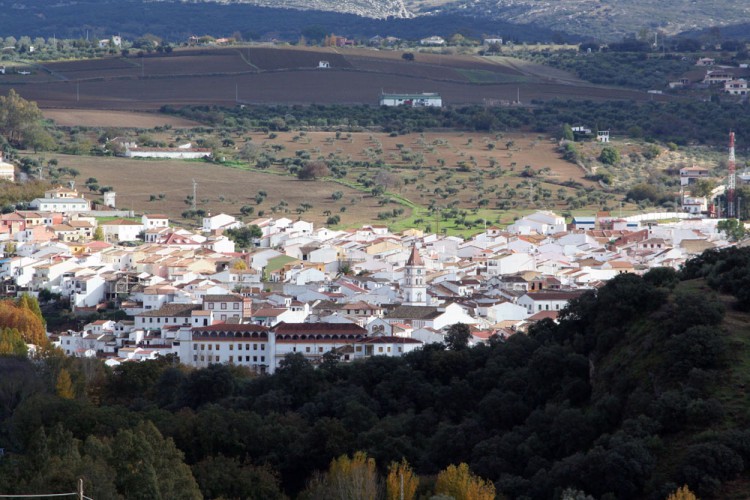 Un terremoto de 4,8 grados en Jimena de la Frontera se deja sentir en Arriate