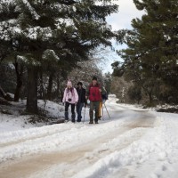 Senderistas paseando por los parajes de la Sierra de las Nieves.