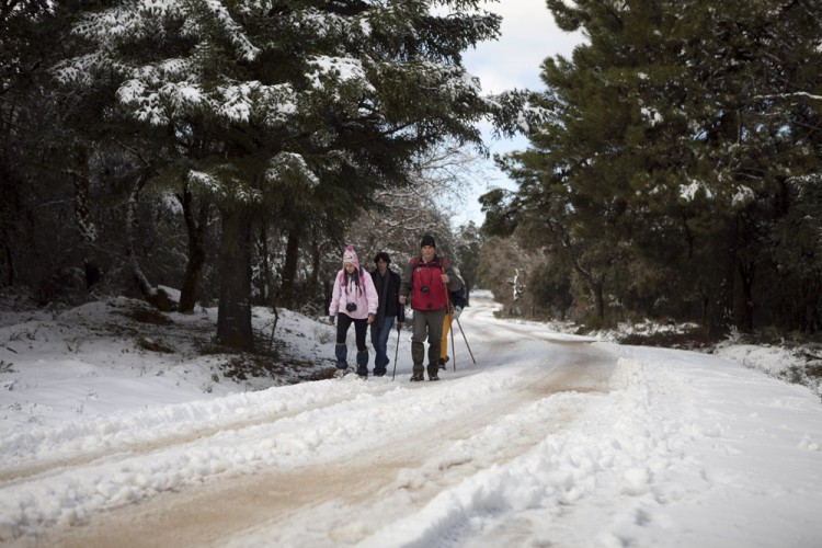 La Junta aprueba la propuesta definitiva para la declaración  de la Sierra de las Nieves como Parque Nacional