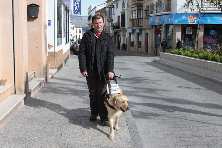 El mejor amigo para ver el mundo a través de sus ojos