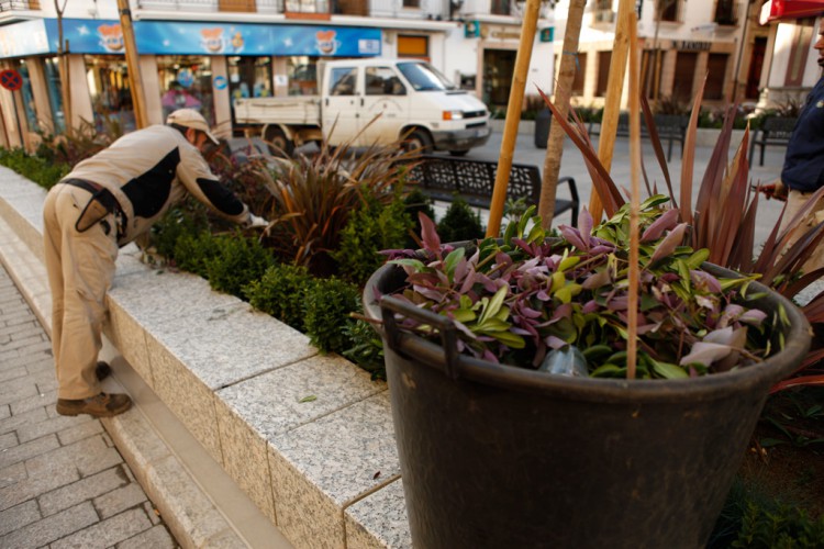 El Ayuntamiento saca a licitación el mantenimiento de parte de los jardines rondeños