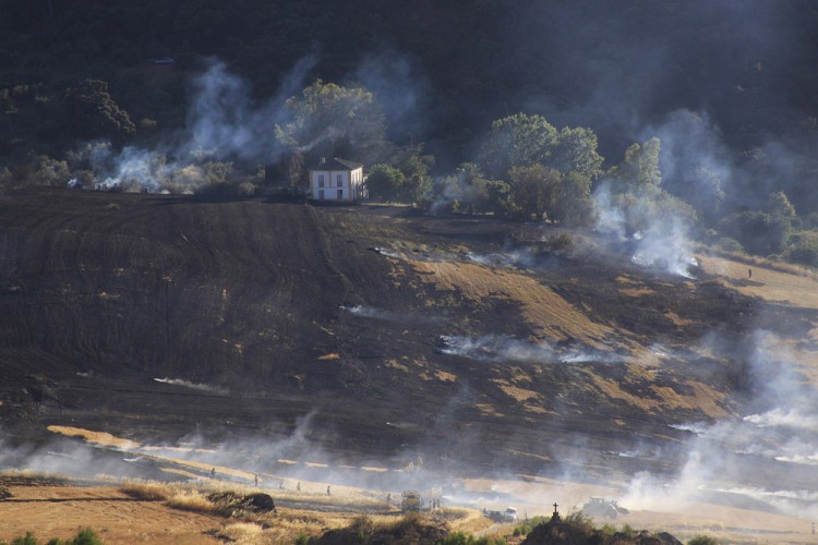 Un incendio afecta a una zona de rastrojos en la Hoya del Tajo