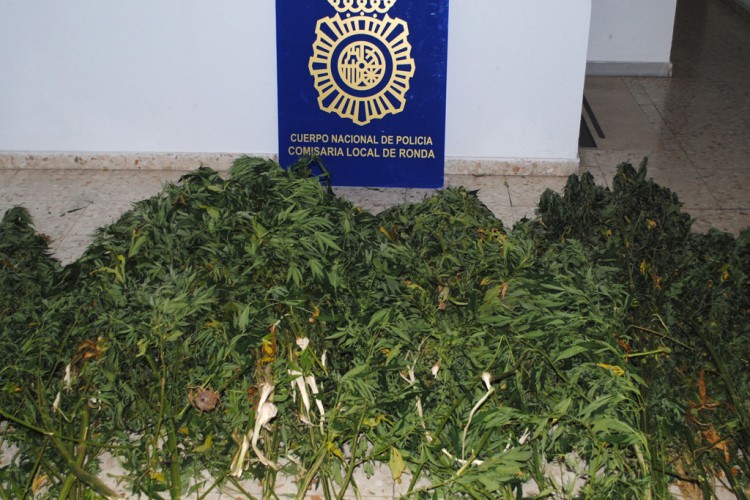 La Policía detiene a dos personas y decomisa 28 kilos de marihuana en Las Peñas