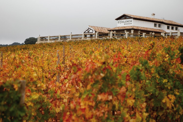 La bodega rondeña Excelencia comienza a exportar su crianza a Holanda