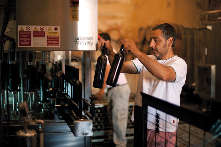 La vendimia lleva el frenesí a las bodegas