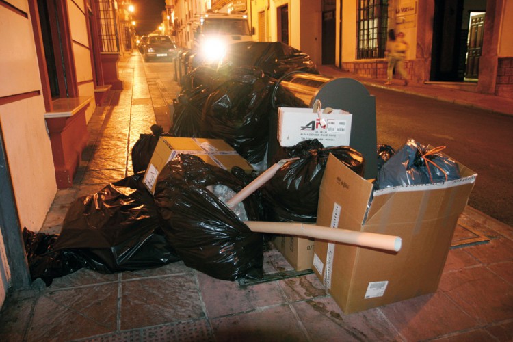 El Ayuntamiento realizará una campaña de desratización en toda la ciudad