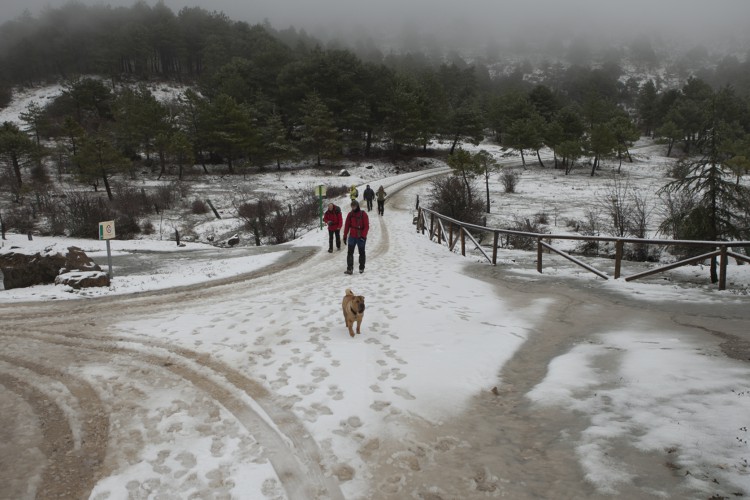 La nieve cubre buena parte de la Sierra de las Nieves