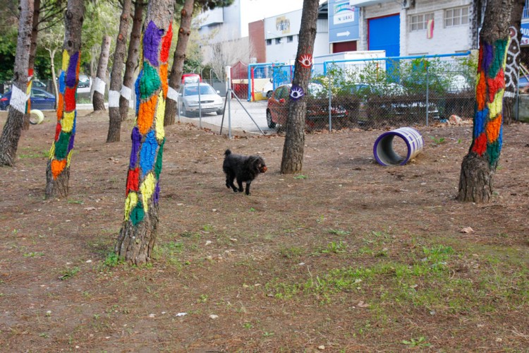 Inauguran el primer parque para perros de Ronda