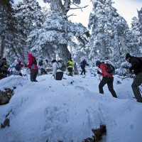 Se cumplen 25 años de la declaración de la Sierra de las Nieves como Reserva de la Biosfera,