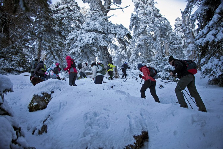 Andalucía celebra el 25 aniversario de la designación de la Sierra de las Nieves como Reserva de la Biosfera