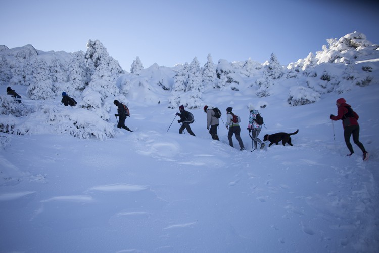 Preparan un campaña para impulsar Sierra de las Nieves como Parque Nacional