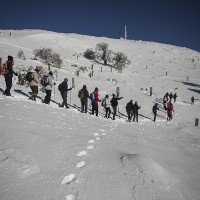 Numerosos senderistas recorren estos parajes únicos de la Serranía de Ronda.