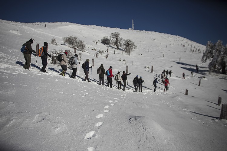La Junta exigirá al nuevo Gobierno de España que agilice la declaración de Sierra de las Nieves como parque nacional