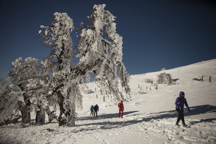 El PP presenta una proposición no de ley en el Senado para apoyar la declaración de la Sierra de las Nieves como Parque Nacional