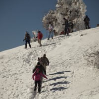 Senderistas paseando por los parajes de la Sierra de las Nieves.