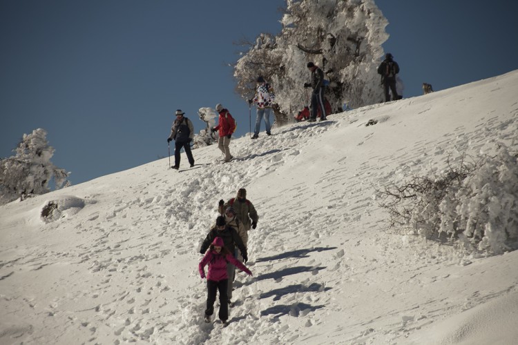 La Junta presenta aportaciones al anteproyecto de Ley del Parque Nacional Sierra de las Nieves