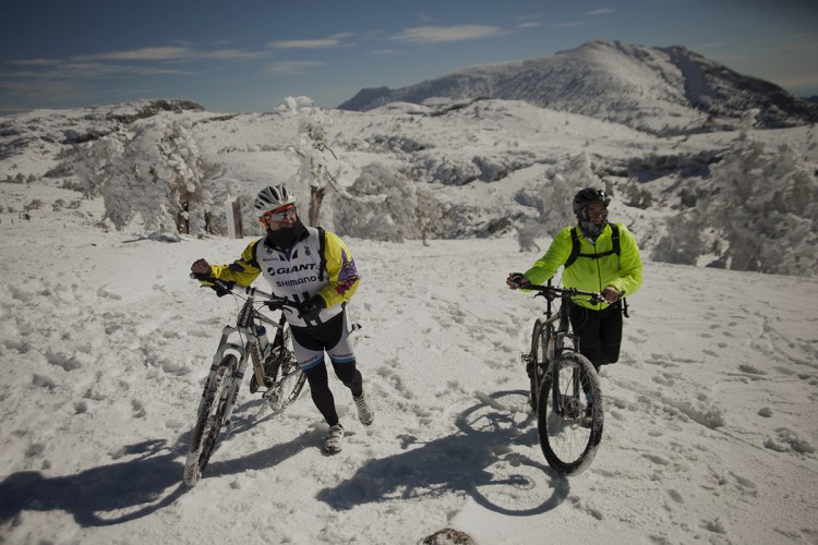 Silvema-Ecologistas en Acción pide que Ronda sea la sede del futuro Parque Nacional Sierra de las Nieves