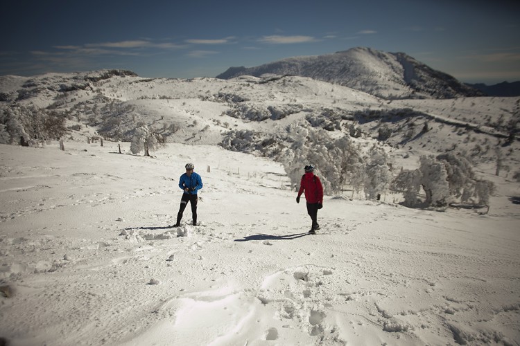 La Sierra de las Nieves obtendrá a mediados de 2018 el reconocimiento de Parque Nacional