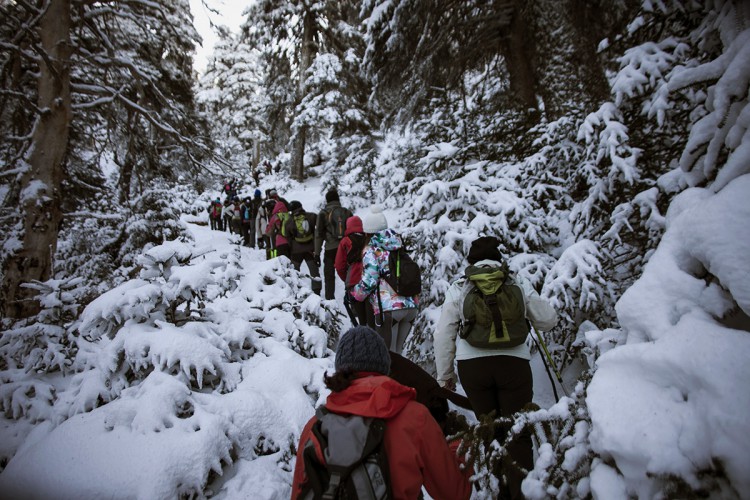 La Sierra de las Nieves recibe miles de visitantes