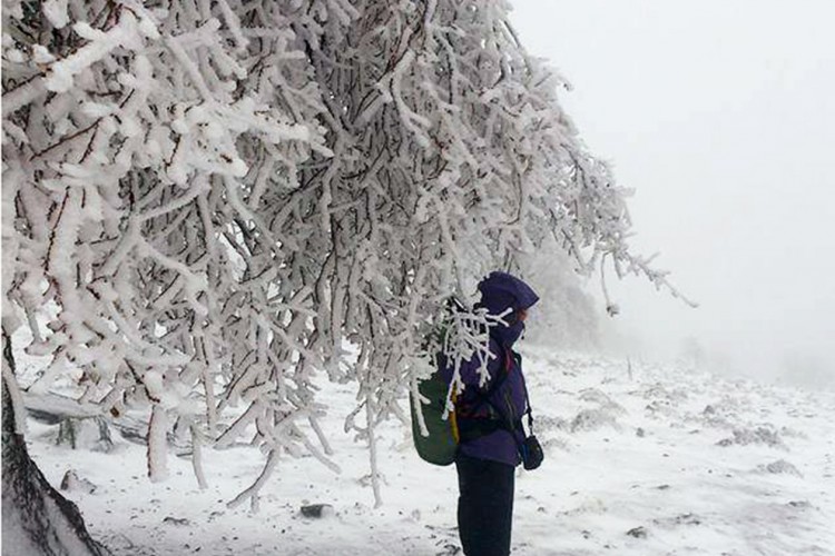 Llega la primera nevada a la Sierra de las Nieves