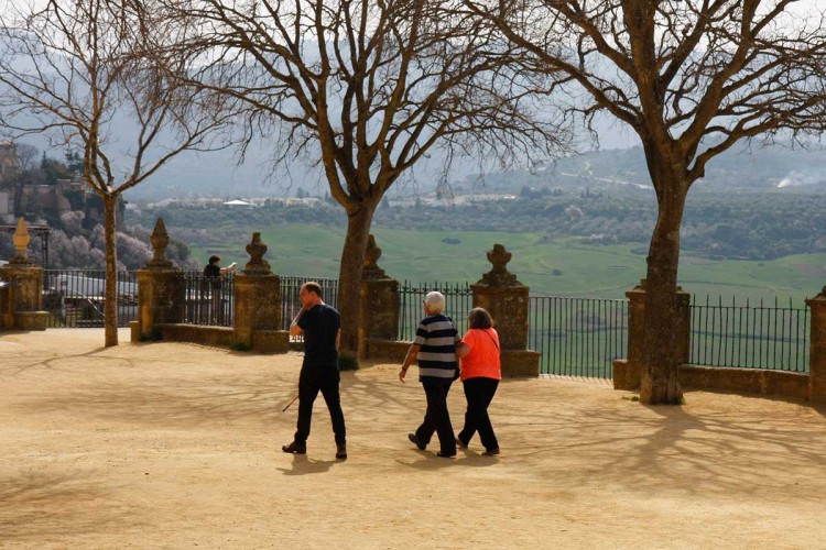 Sacan a licitación la remodelación de la Alameda del Tajo