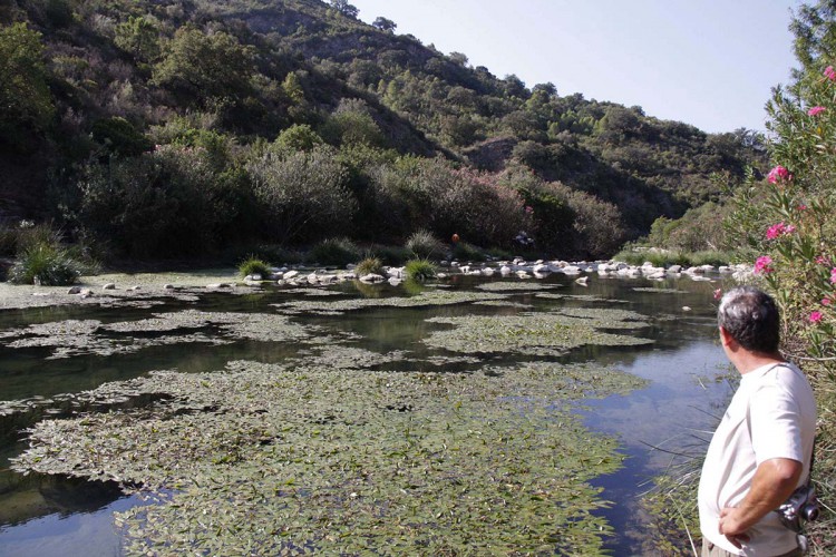 Científicos alertan de la presencia de contaminantes de gran persistencia en el río Guadiaro