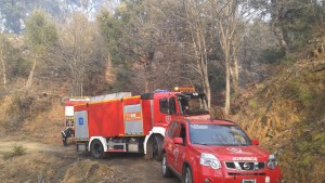 Dotaciones del Consorcio Provincial de Bomberos durante el incendio.