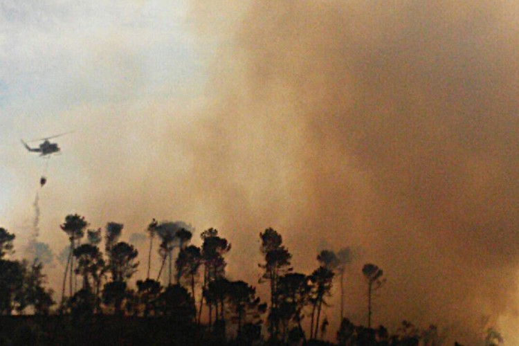 Una quema de hojas pudo provocar el incendio forestal de Igualeja