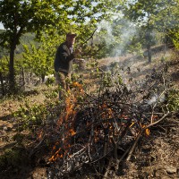 La Junta suspende excepcionalmente la quema de rastrojos hasta el 10 de abril por las altas temperaturas